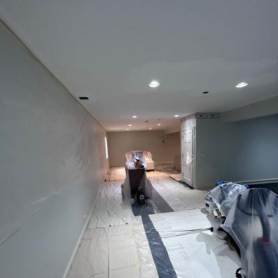 Ej Painting Basement In Progress