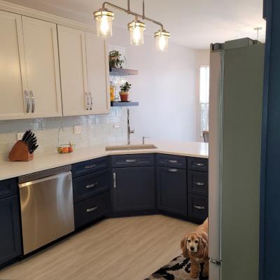 EJ Painting Blue & White Kitchen 2